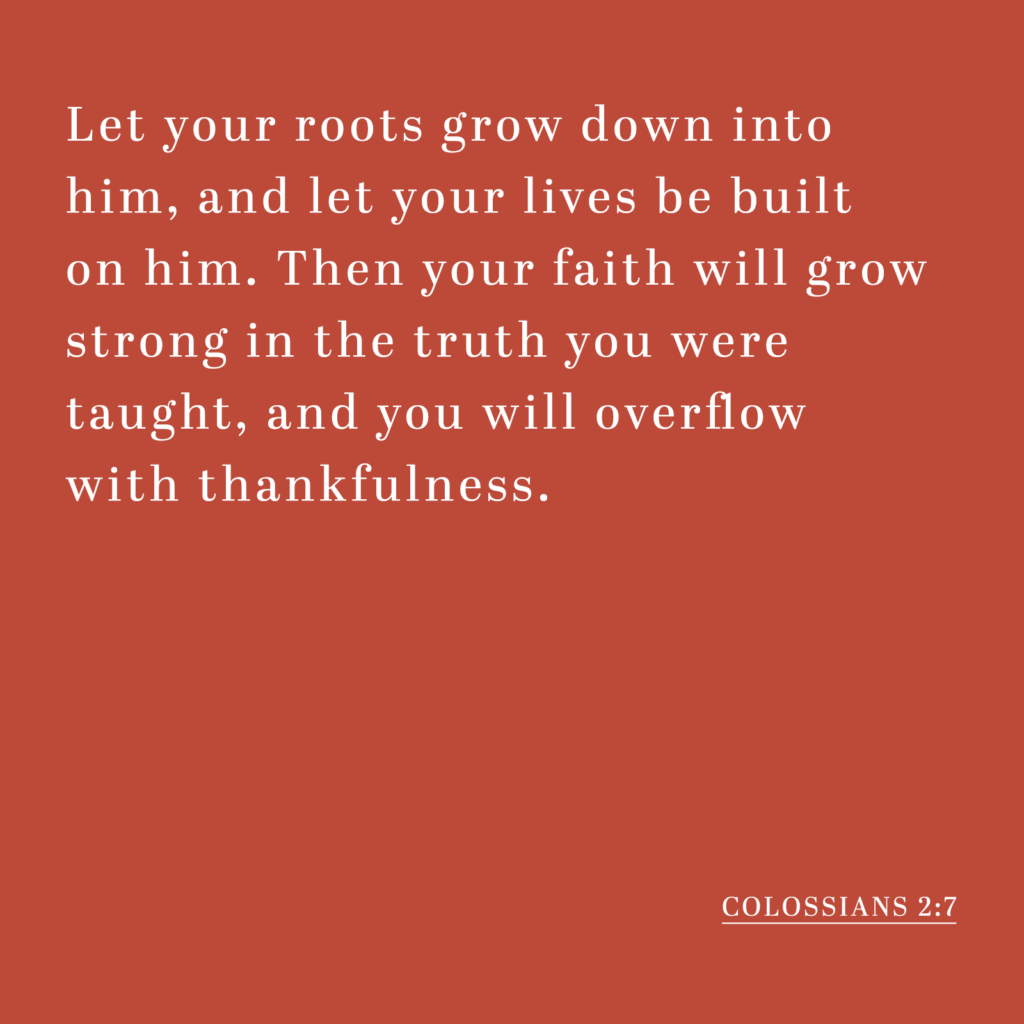 Let your roots grow down into him, and let your lives be built on him. Then your faith will grow strong in the truth you were taught, and you will overflow with thankfulness. - Colossians 2:7