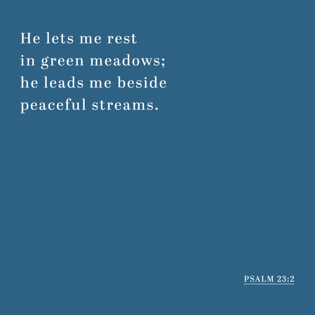 Psalm 23:2 - He lets me rest in green meadows; he leads me beside peaceful streams.